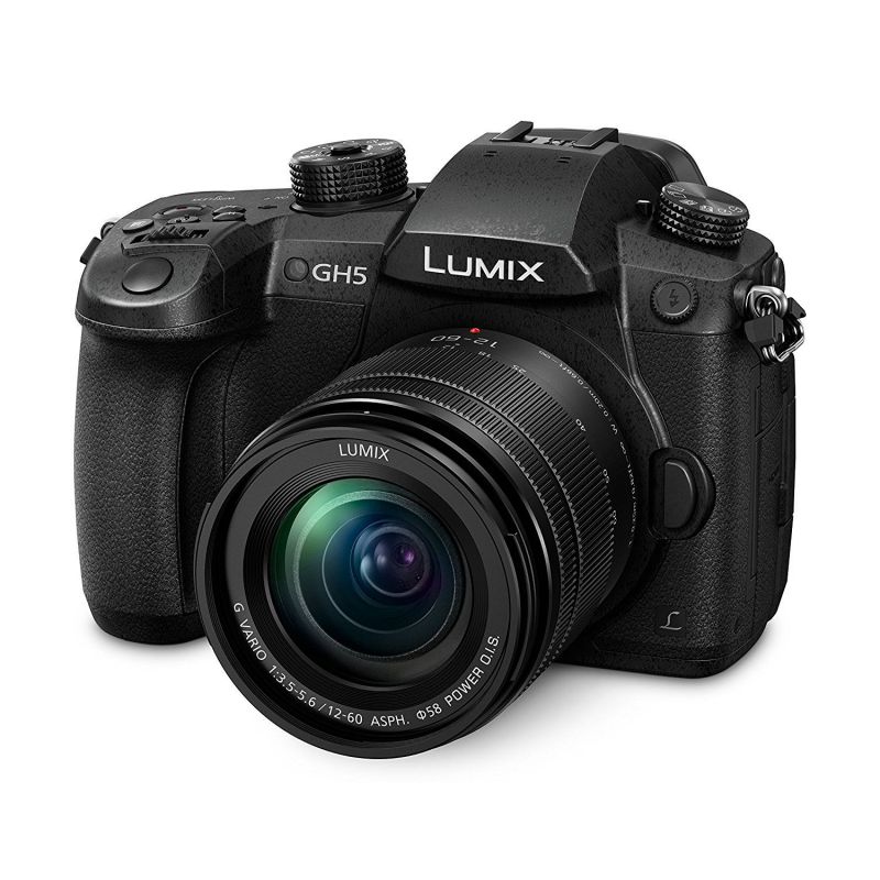 DSTE DMW-BGGH5 Battery Grip Per Panasonic Lumix DMC-GH5 – Con 2 Batterie DMW-BLF19