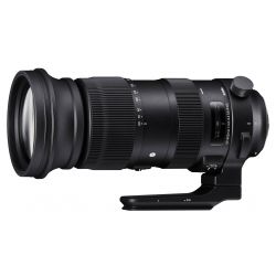 Obiettivo Sigma 60-600mm F4.5-6.3 DG OS HSM Sport per Canon