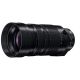 Obiettivo Panasonic DG Vario-Elmar 100-400mm F4.0-6.3 ASPH OIS H-RS100400
