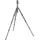 Treppiedi Gitzo GK2580TQR Traveler Serie 2 in Fibra di Carbonio