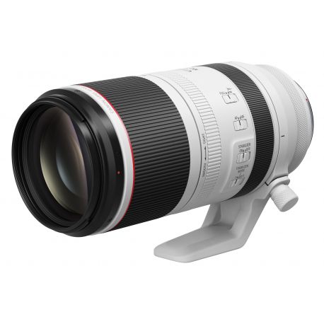 Obiettivo Canon RF 100-500mm f/4.5-7.1 L IS USM per mirrorless EOS R