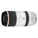Obiettivo Canon RF 100-500mm f/4.5-7.1 L IS USM per mirrorless EOS R