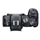 Fotocamera Mirrorless Canon EOS R6 kit 24-105mm f/4-7.1 IS STM + adattatore EF-EOS R