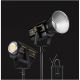 Godox Faretto VL300 Luce continua led 300W attacco bowens