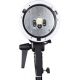 Godox AD600 TTL Wistro Flash da Studio a Batteria Attacco Bowens