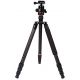 Triopo Treppiedi in carbonio GT-2804X8.C + Testa B-2