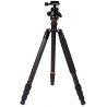 Triopo Treppiedi in carbonio GT-2804X8.C + Testa B-2