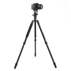 Triopo Treppiedi in alluminio MT-2504X8.C + Testa NB-1S