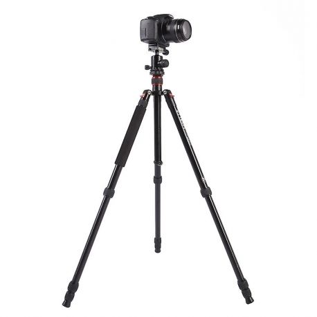 Triopo Treppiedi in alluminio MT-2504X8.C + Testa NB-1S