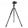 Triopo Treppiedi in alluminio MT-2504X8.C + Testa NB-1S