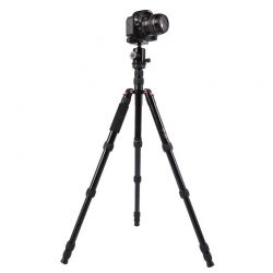 Triopo Treppiedi in alluminio MT-2505X8.C + Testa NB-1S