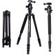 Triopo Treppiedi in carbonio GT-2504 + Testa N-1