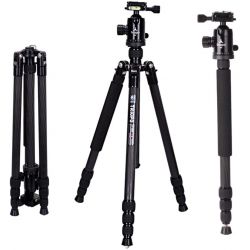 Triopo Treppiedi in carbonio GT-2504 + Testa N-1