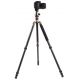 Triopo Treppiedi in carbonio GT-2504X8.C + Testa B-1