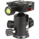 SIRUI G-10X testa per treppiedi con piastra TY-50X