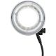 Godox R1200 testa anulare ring flash per AD1200Pro