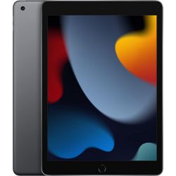 Tablet Apple iPad 10.2 (2021) 256GB Wi-Fi + Cellular - Grigio Siderale