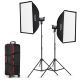 Godox SL-100D kit 2 faretti LED 5600k + 2 stativi + softbox