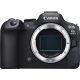 Fotocamera Mirrorless Canon EOS R6 Mark II Body (no adattatore)
