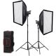 Godox Litemons LA200Bi K2 Kit 2 illuminatori + 2 softbox + 2 stativi + accessori