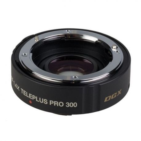Kenko Pro 300 DGX 1.4x Teleconverter x Canon