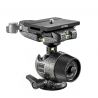 Gitzo Testa a sfera Serie 1 QD GH1780QD