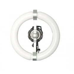 Quantuum Fomex N-Light 100W solo lampada