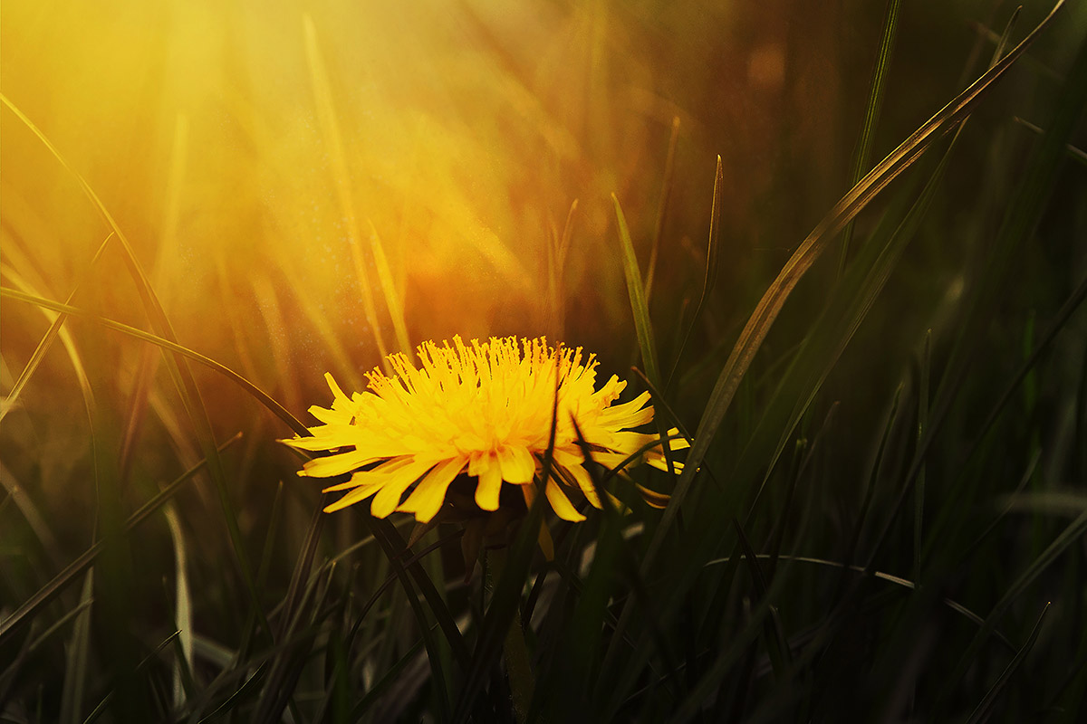 magic hour